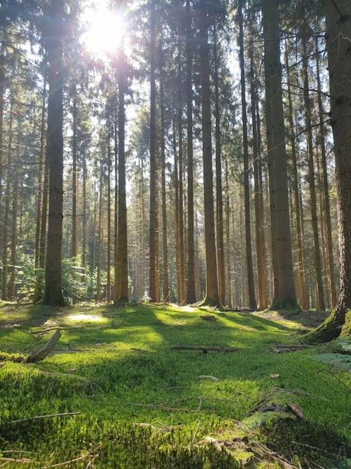 Gite N°4, En Pleine Nature, Frontalier Signy-le-Petit ภายนอก รูปภาพ