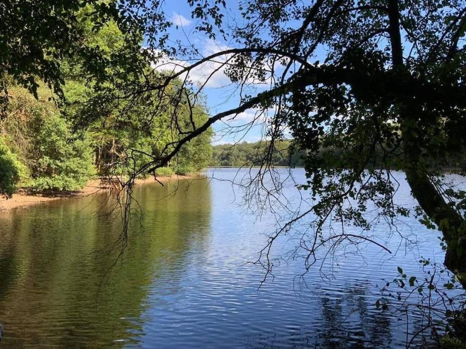 Gite N°4, En Pleine Nature, Frontalier Signy-le-Petit ภายนอก รูปภาพ
